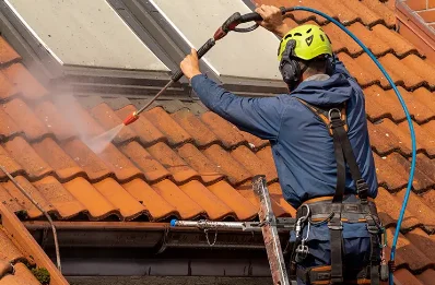 Démoussage et hydrofuge de toiture à Loubajac